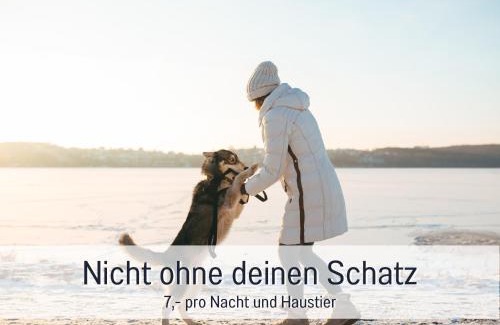 Steinberg Apartment | Fewo Kleines Nest strandnah optimal für Alleinreisende und Paare mit Haustier