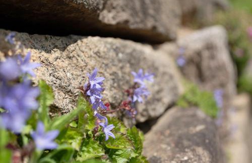 Buehlertal Apartment | Fewo Kohler