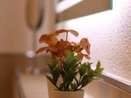 Amecke Apartment | FeWo Mammut-Seepanorama