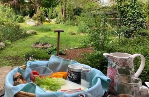 Wiesmoor Apartment | FeWo Olga Behrends