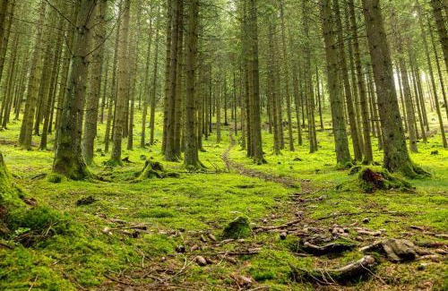 Heinsberg Apartment | Fewo Schober