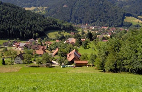 Haslachsimonswald Apartment | Fewo Typ A, "unsere Sonnige", 1 Wohn-/Schlafraum, max. 2 Personen