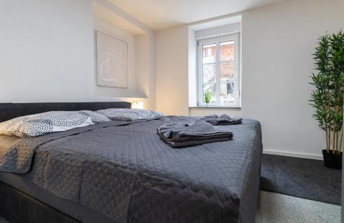 Lieser Apartment | Fewomo, Moselzeit Apartment, Stilvolle Fewo für Genießer nähe Schloss