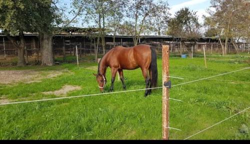Campi Bisenzio House | Fienile Paradiso Home Tuscany