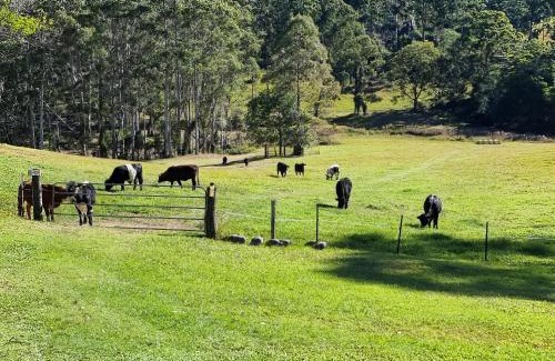 Bellthorpe House | Fiery, cozy starry nights - Farm stay!