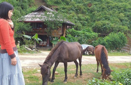 Sa Pa Ski Chalet | Fieu House