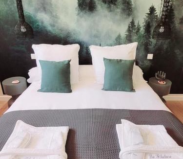 Wasselonne Apartment | Filature 1813-Duplex-Relaxation,spa,garden View