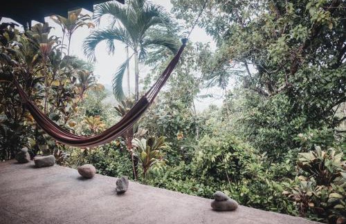 Ballena Hotel | Finca Bavaria