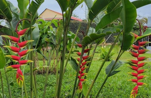 Luna Park House | Finca Campestre Cafetera en Circasia Quindio
