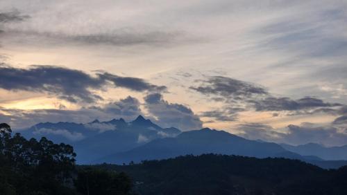 Jardin House | Finca Carrizales