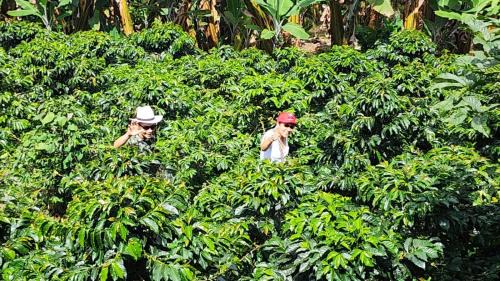 Jardin House | Finca Carrizales