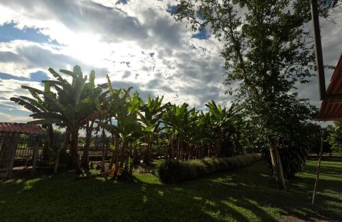 Armenia Hotel | Finca Hotel Estrella del Eden