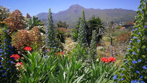 El Paso Apartment | Finca Primavera