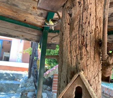 Moratalla Ski Chalet | Finca Vitoria