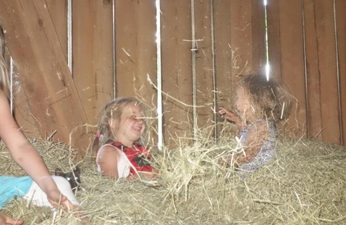 Wildermieming Apartment | Fink-Hof