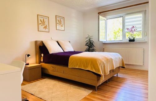 Illingen Apartment | FinkenBlick I Wohnung in Illingen Saar I für kleine Familien I Paare mit Hund und Monteure