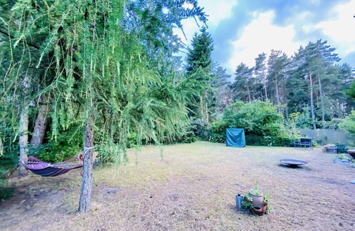 Muritz House | Finnhütte mit Pool in Malchow- Mecklenburgische Seenplatte