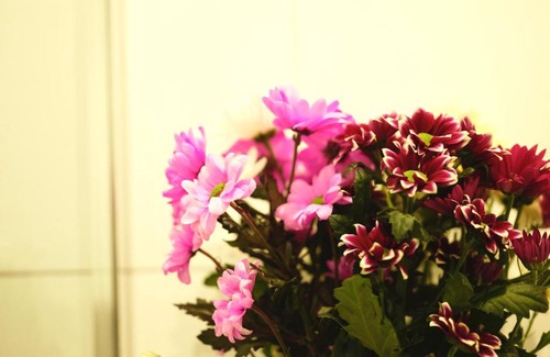 Staple Hill Apartment | Fishponds Apartments in Bristol 359A