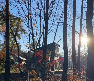 Hakuba Villa | Flagpole Villa Hakuba