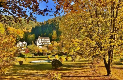 Meuselbach-Schwarzmuhle Hotel | Flair-Hotel Waldfrieden