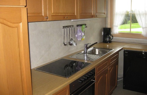 Wittenschwand Apartment | Flat in Wittenschwand with garden and panorama