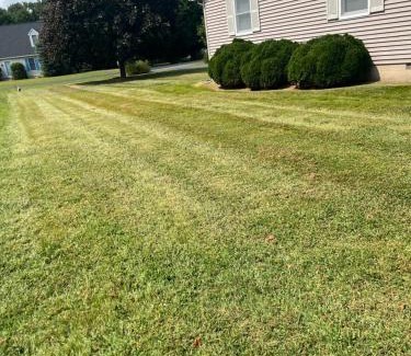 Maplewood House | Flip Flop Drop - Rehoboth Beach - Community Pool!