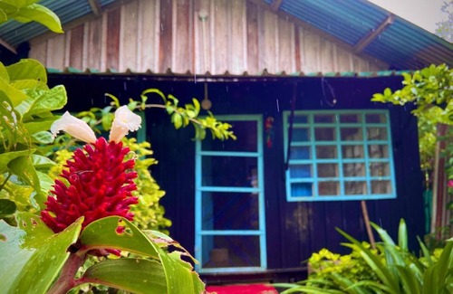 Puerto Narino House | Flor de la selva