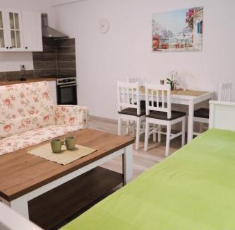 Jachymov Apartment | Flower Apartment