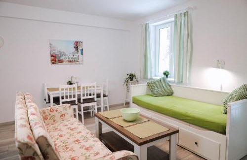 Jachymov Apartment | Flower Apartment