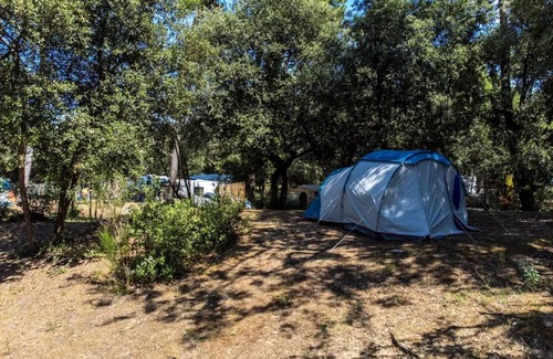 Saint-Trojan-les-Bains House | Flower Camping Monplaisir * - Mobil-Home Premium 34 m2 - 3 bedrooms - semi covered terrace - TV + CLIM + sheets + towels 6 people