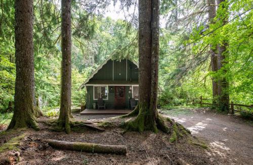 Paradise Estates House | Fog & Fern Hideaway at Mount Rainier