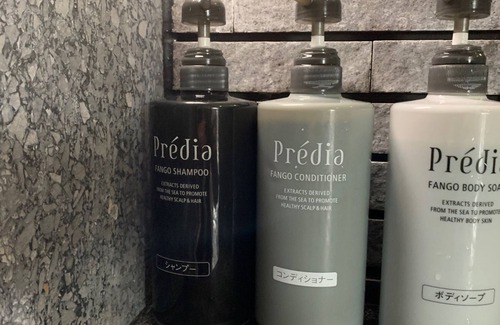 Ryuga Onsen Hotel | For 2 people New building Japanesestyle room 10/Kochi Kōchi