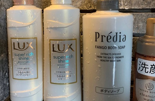 Ryuga Onsen Hotel | For 2 people New building Japanesestyle room 10/Kochi Kōchi