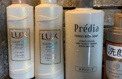 Ryuga Onsen Hotel | For 3 people New building Japanesestyle room 1/Kochi Kōchi