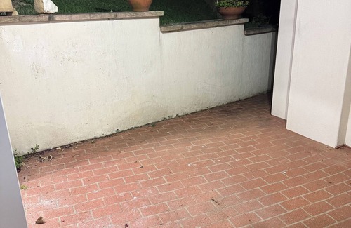 Illawong Apartment | for people looking for peace and a holiday spot close to city and beaches