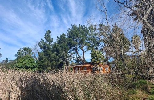 Buffalo Hills Game Reserve Cabin | Forest Gate Cabins