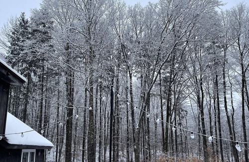 East Haven  Rutland County House | Forest Mountain Escape: Beautiful Mountaintop Escape In Mendon, Vt. 20 Min To Killington/14 To Pico. 4 Bedroom Home