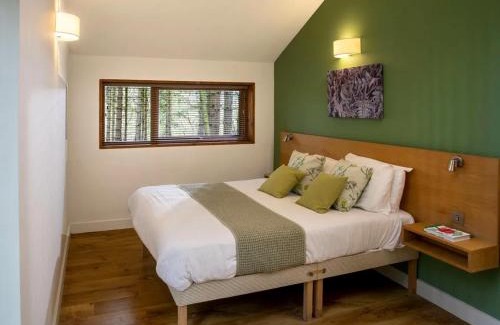 Berry Hill Resort | Forest of Dean Cabins - Forest Holidays