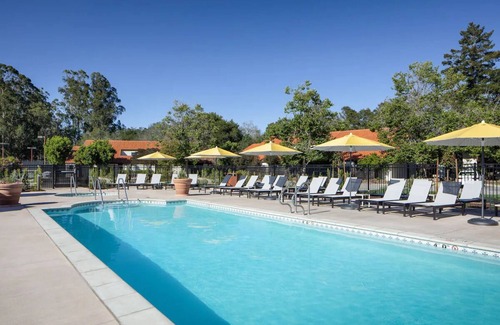 Eastside Santa Cruz Hotel | Forest Retreat: Spacious Room with Private Patio | Stunning Views