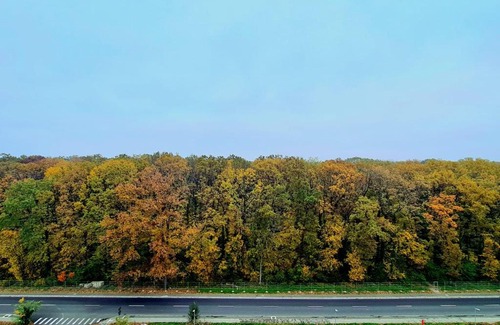 Calea Sever Bocu Apartment | Forest View - Eagle's Nest