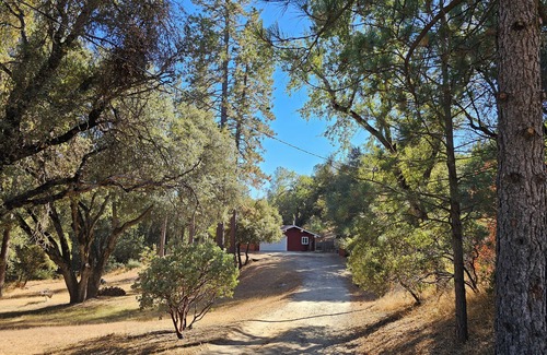 Ahwahnee Cabin | Forested Solitude in Ahwahnee, stargaze in the spa in this quiet pine forest