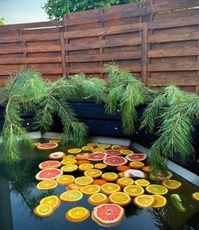 Klavdiyevo-Tarasove House | ForRest будинок з чаном