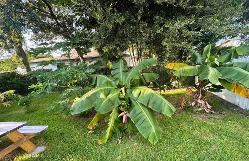 Downtown Fort Lauderdale House | Fort Lauderdale 2BR Tropical Retreat Near Beach