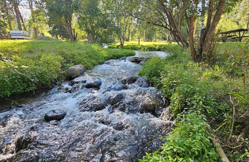Saddlestring House | Fox Tipi, Rustic "Fox" Tipi by Bighorn Mountains