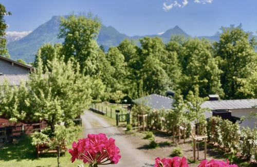 Sankt Wolfgang im Salzkammergut Apartment | From the mountains to the beautiful lake in one of the most beautiful places in Austria