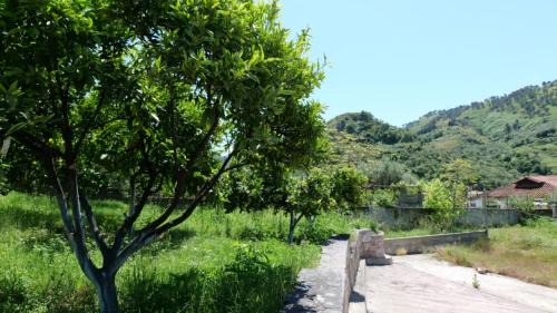 Aliko Hotel | Franko