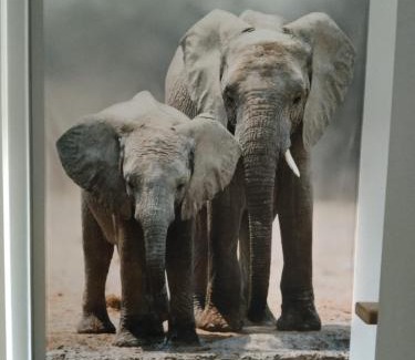 Franschhoek House | Franschhoek Gem on Van Wijk