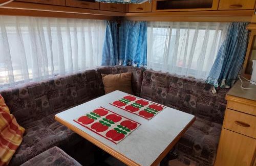 Moravka Other | František - Camp pod kaštany