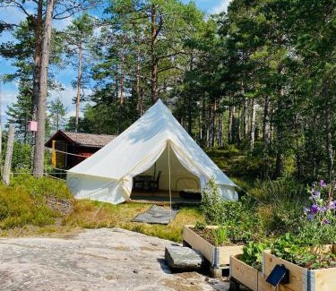 Iveland Municipality Other | Fredelig og landlig lavvoferie