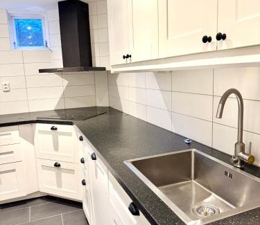 Tagene House | Fredholmsvillan kärra